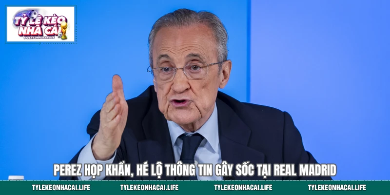 Perez Họp Khẩn, Hé Lộ Thông Tin Gây Sốc Tại Real Madrid