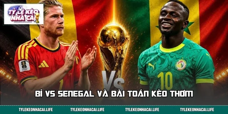 Bỉ vs Senegal và bài toán kèo thơm