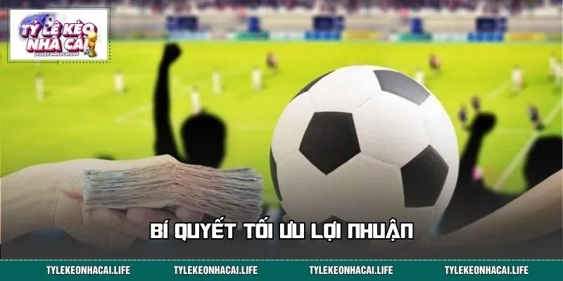 Bí quyết áp dụng chiến thuật để tối ưu lợi nhuận