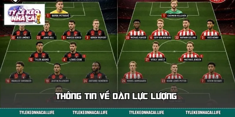 Thông tin về dàn lực lượng 